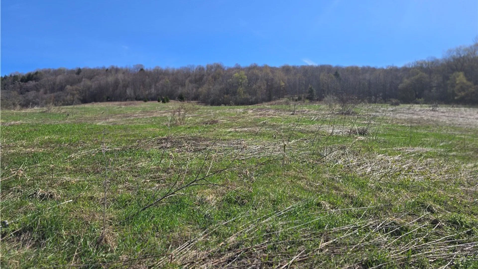 Property at 154 Bliven Road, Bridgewater, NY 13313 7