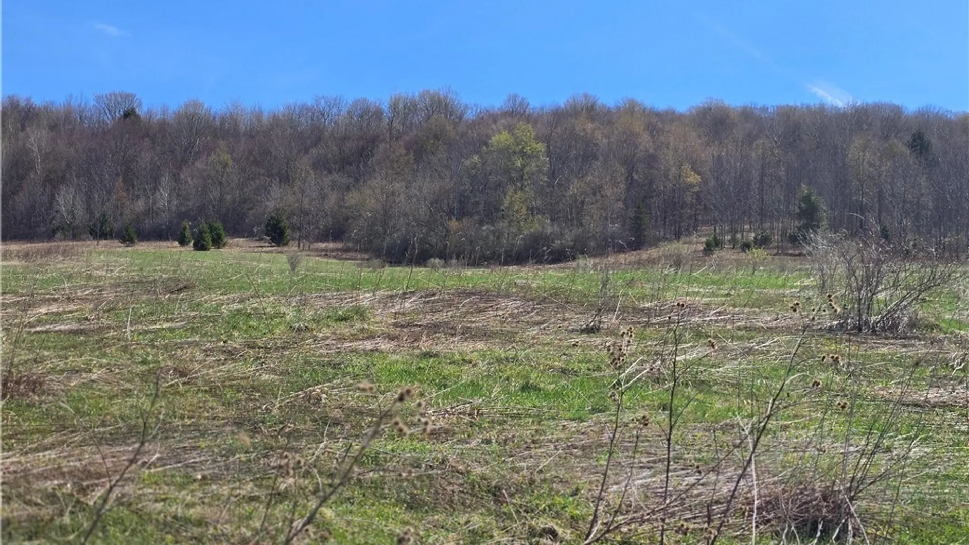 Property at 154 Bliven Road, Bridgewater, NY 13313 8