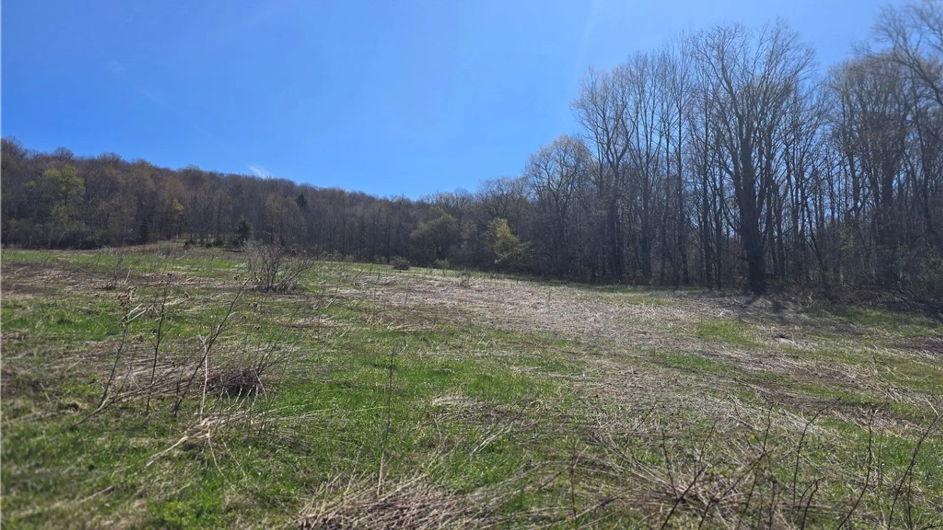 Property at 154 Bliven Road, Bridgewater, NY 13313 9