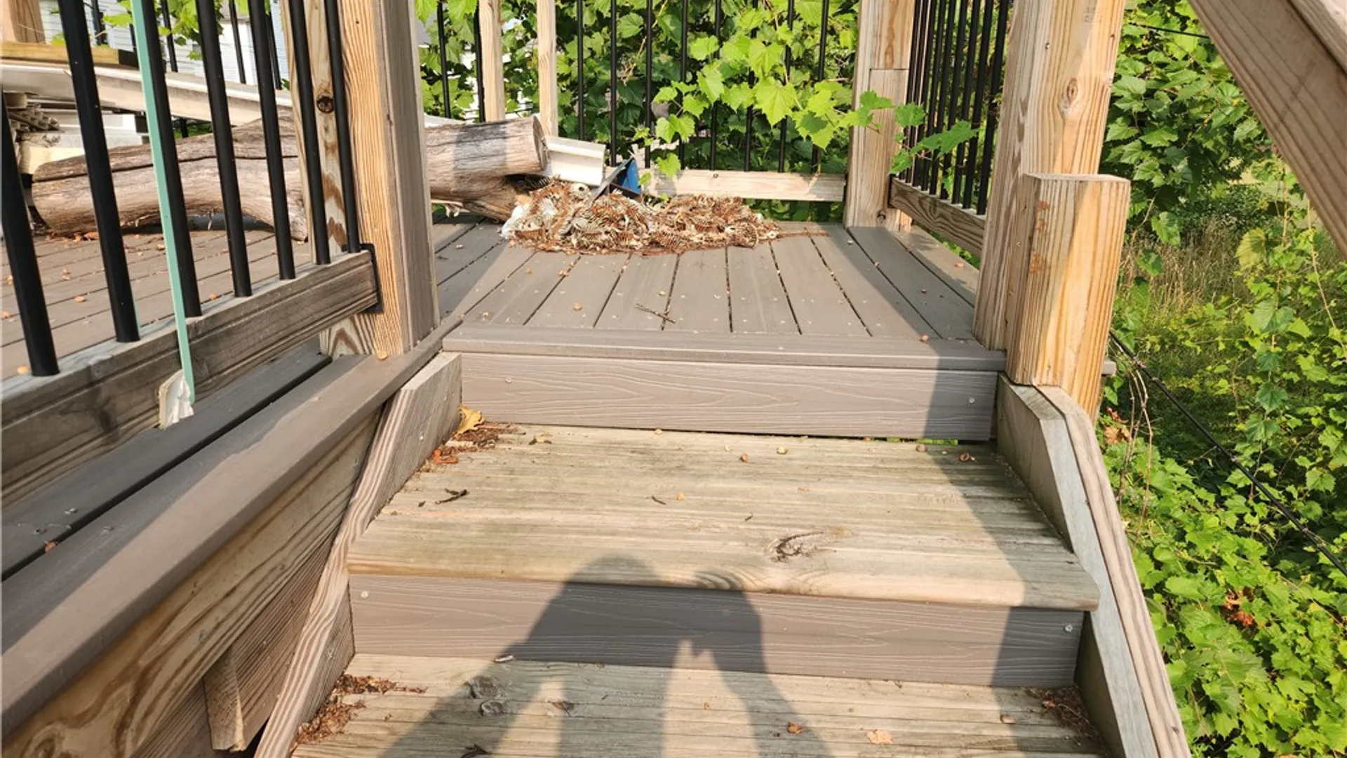 Property at 186 hollenbeck, Rochester, NY 14621 25