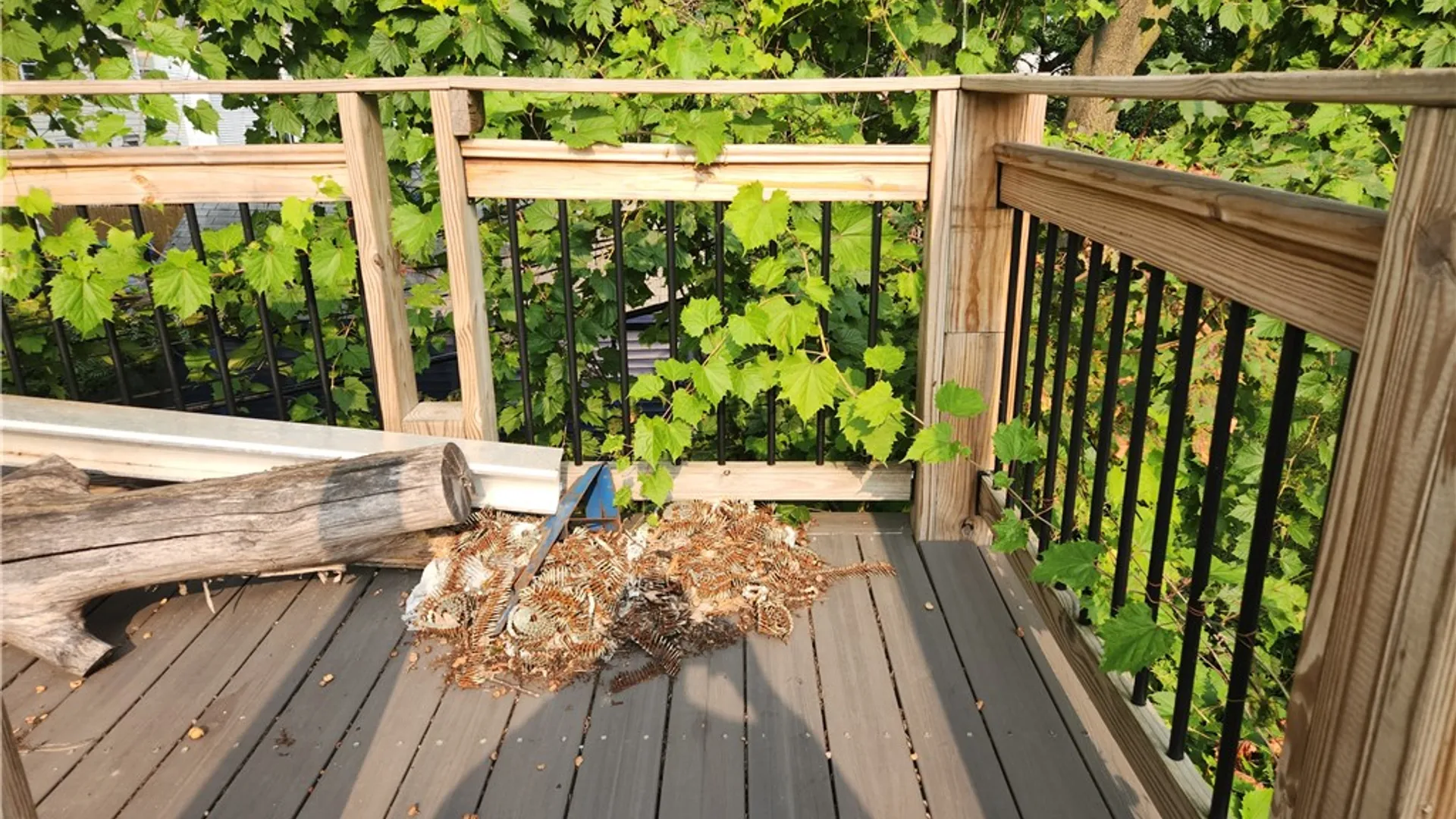 Property at 186 hollenbeck, Rochester, NY 14621 26