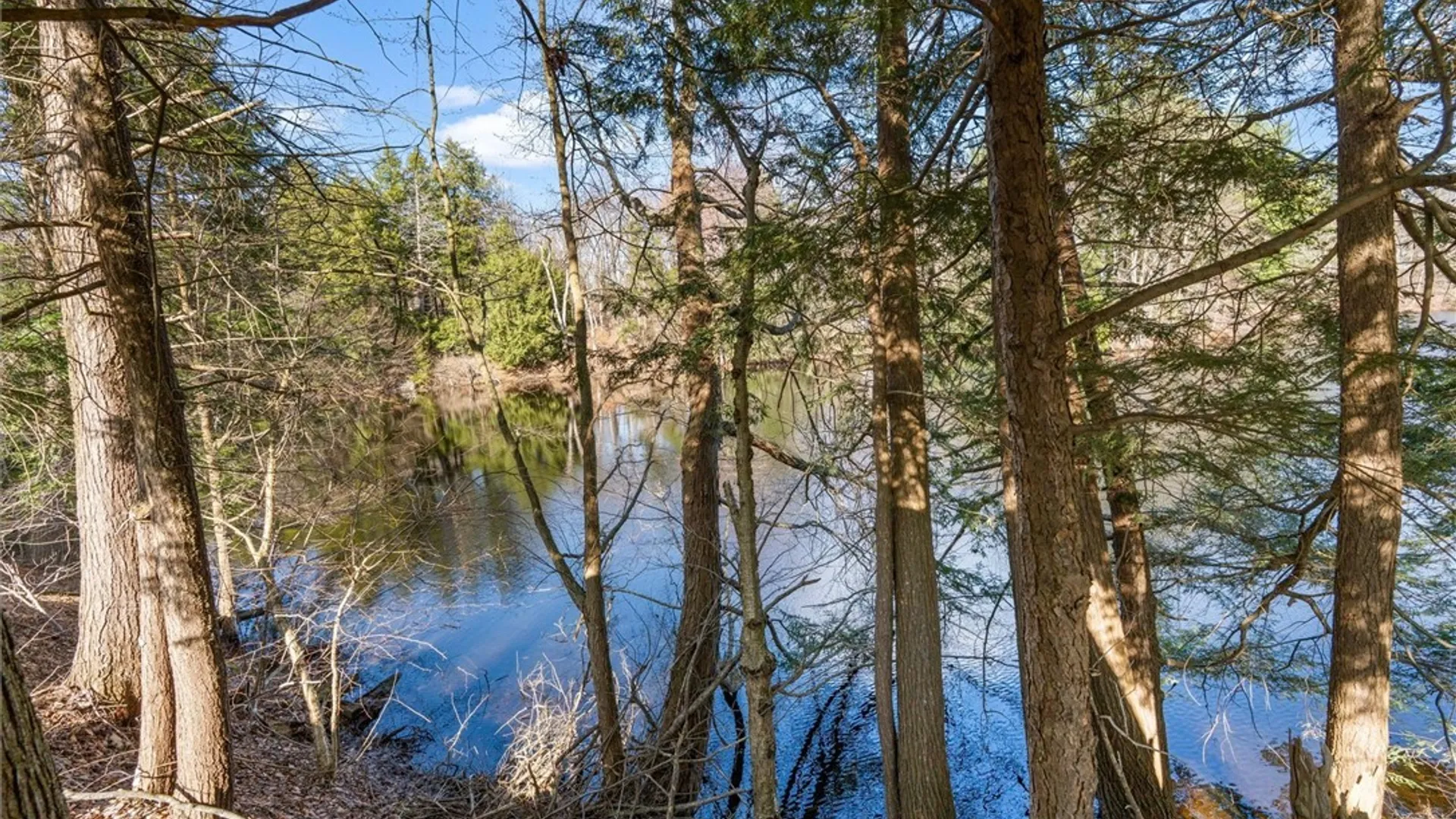 Property at 42 Leo J Bidwell Avenue, Palermo, NY 13135 37