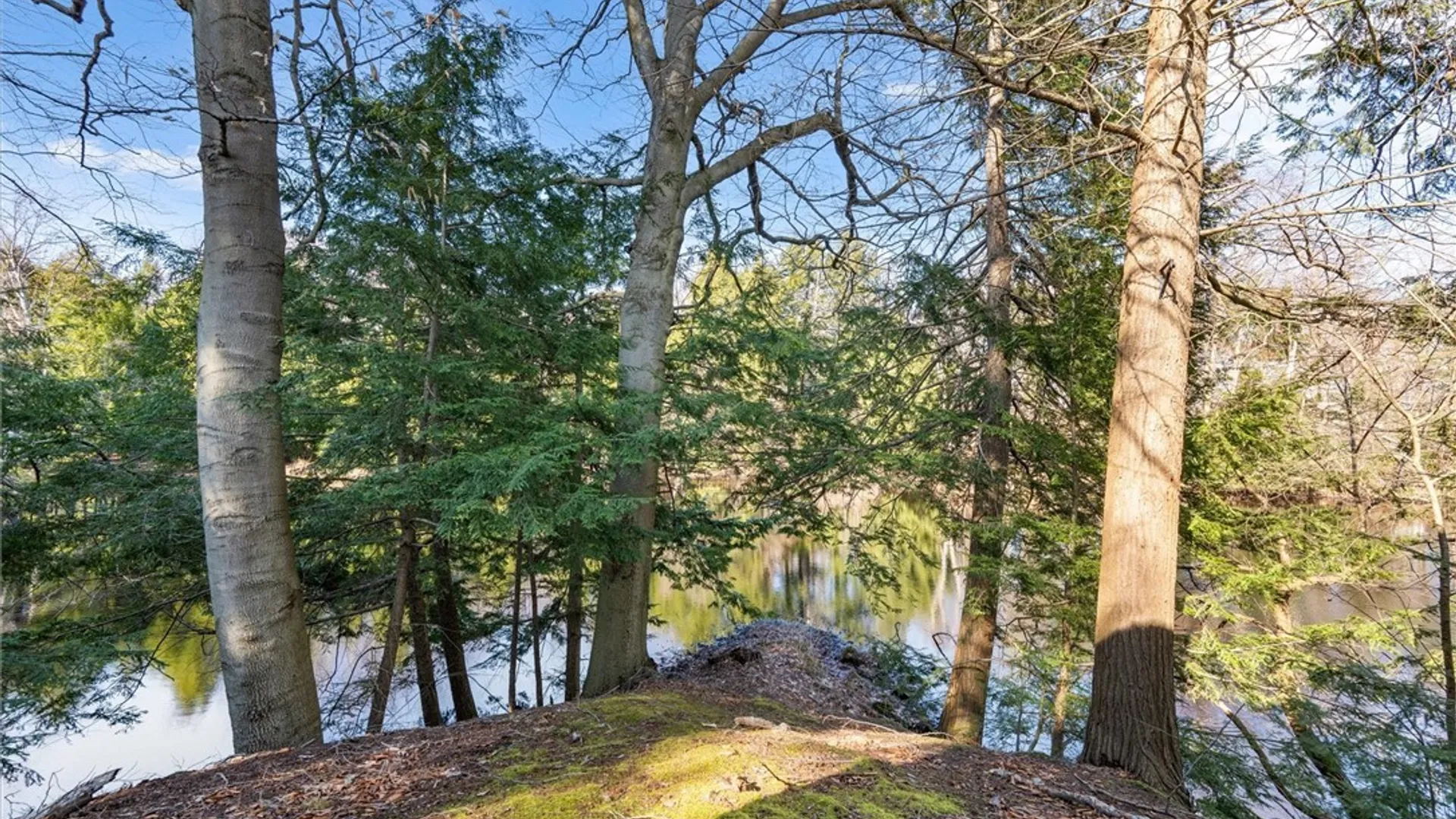 Property at 42 Leo J Bidwell Avenue, Palermo, NY 13135 38