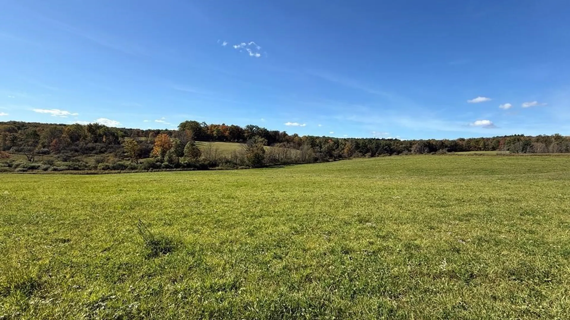 Property at 00 Parrott Road, Veteran, NY 14824 5