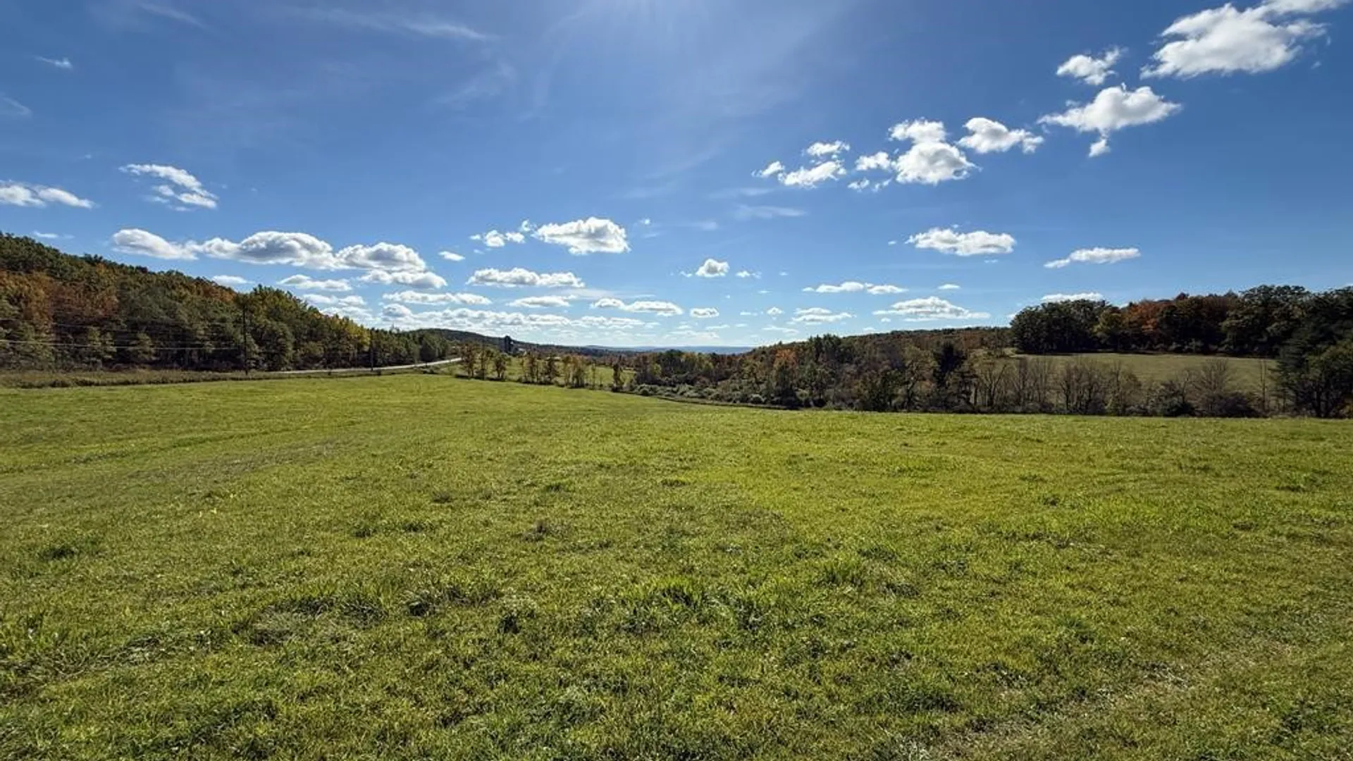 Property at 00 Parrott Road, Veteran, NY 14824 6