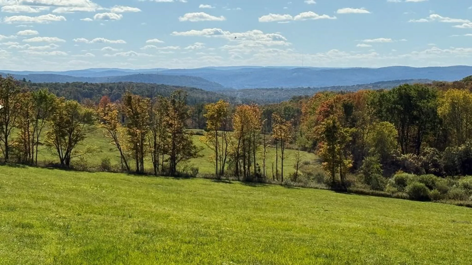 Property at 00 Parrott Road, Veteran, NY 14824 8