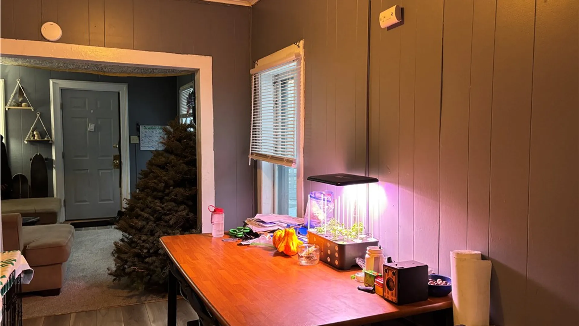 Property at 10-12 Columbia Street, Oneonta, NY 13820 18