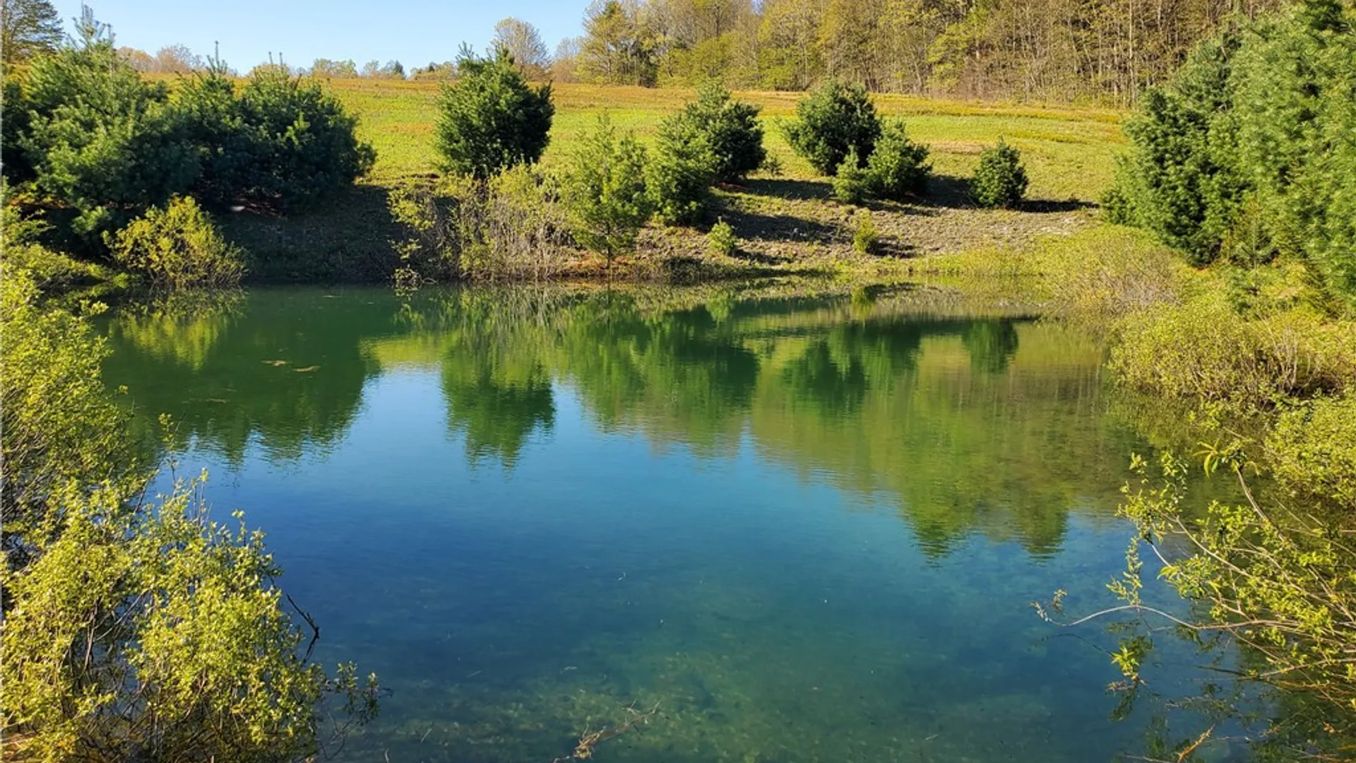 Property at 205 Sullivan Road, Laurens, NY 13810 34