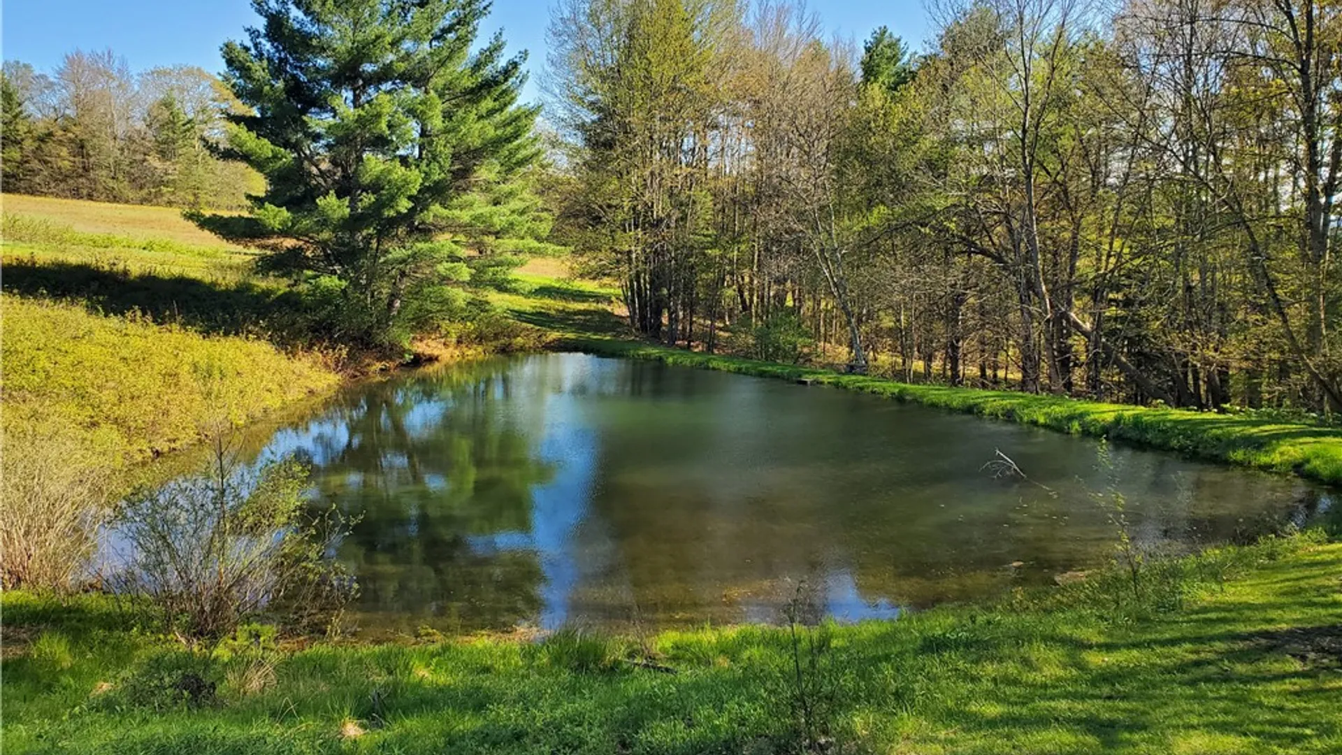 Property at 205 Sullivan Road, Laurens, NY 13810 37