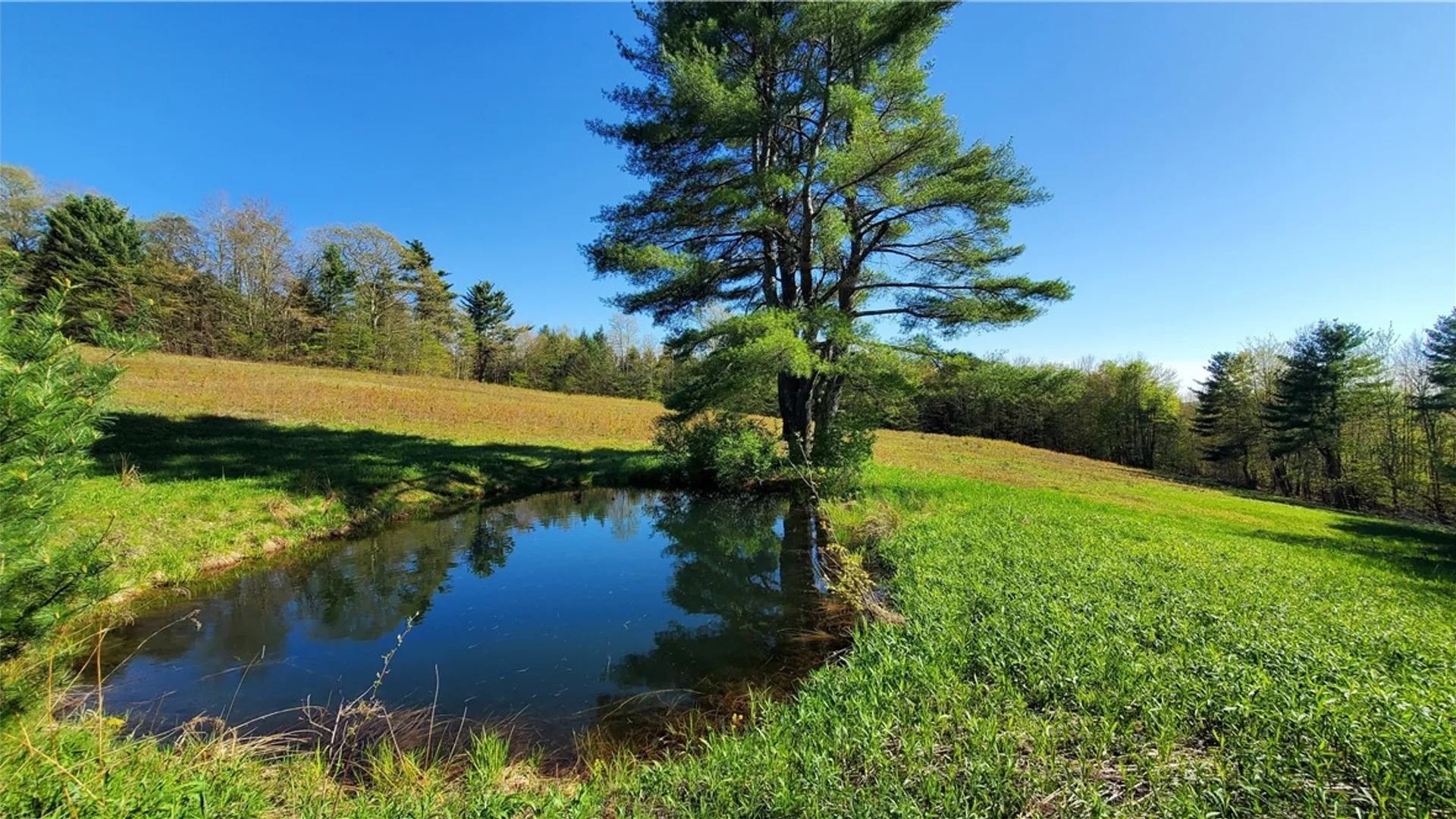 Property at 205 Sullivan Road, Laurens, NY 13810 38