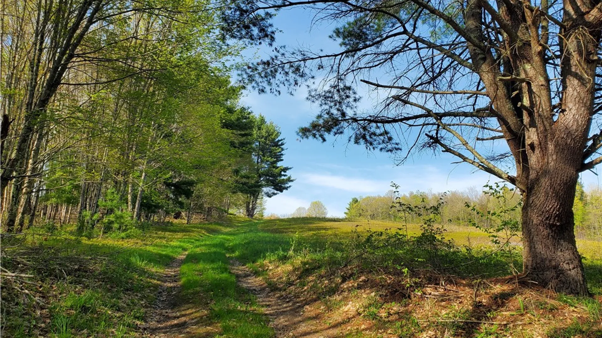 Property at 205 Sullivan Road, Laurens, NY 13810 39