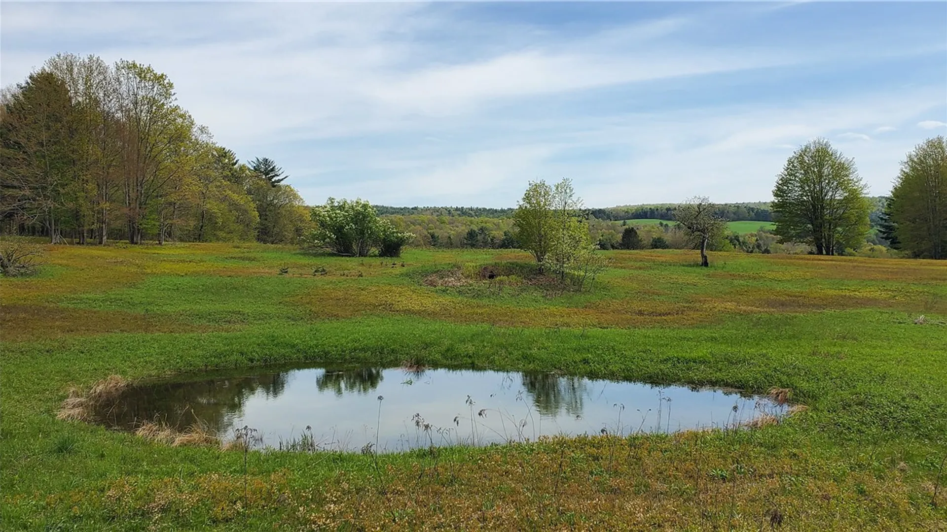 Property at 205 Sullivan Road, Laurens, NY 13810 41