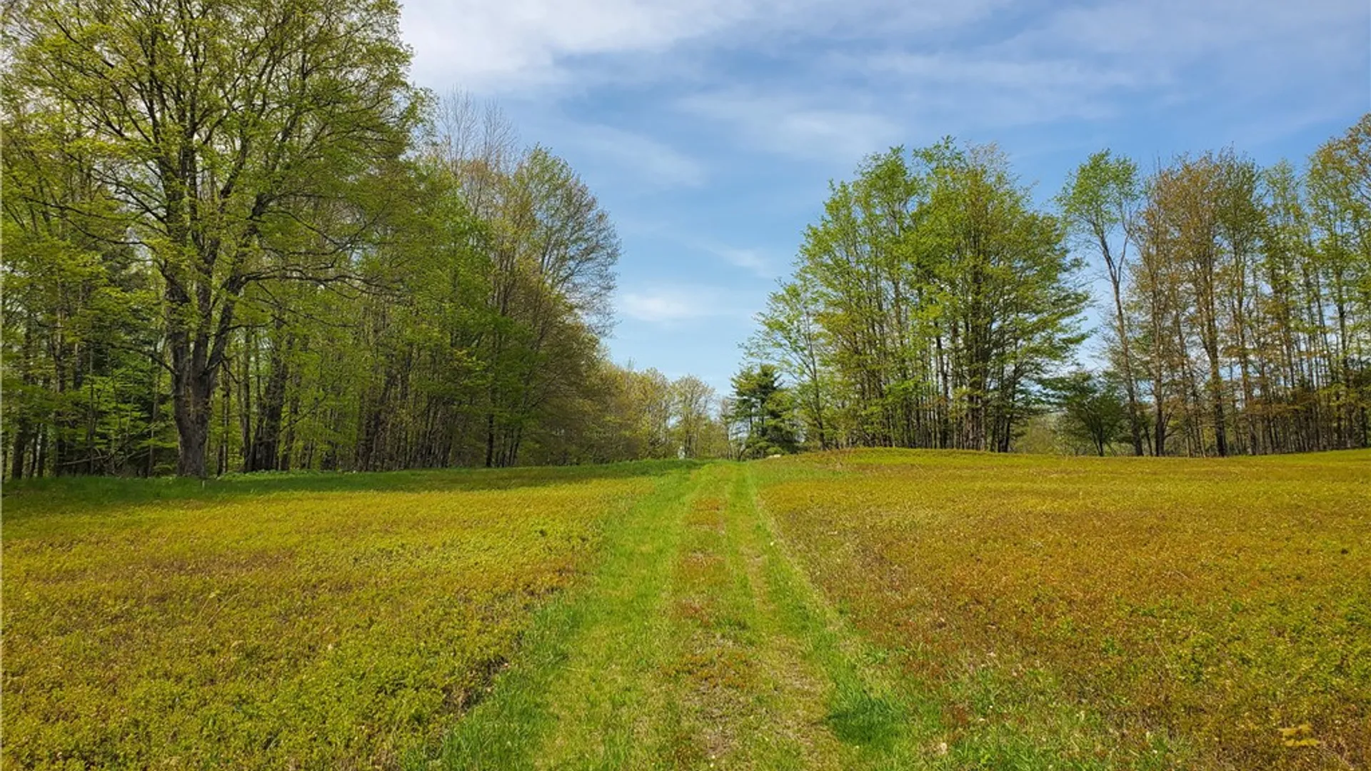 Property at 205 Sullivan Road, Laurens, NY 13810 42