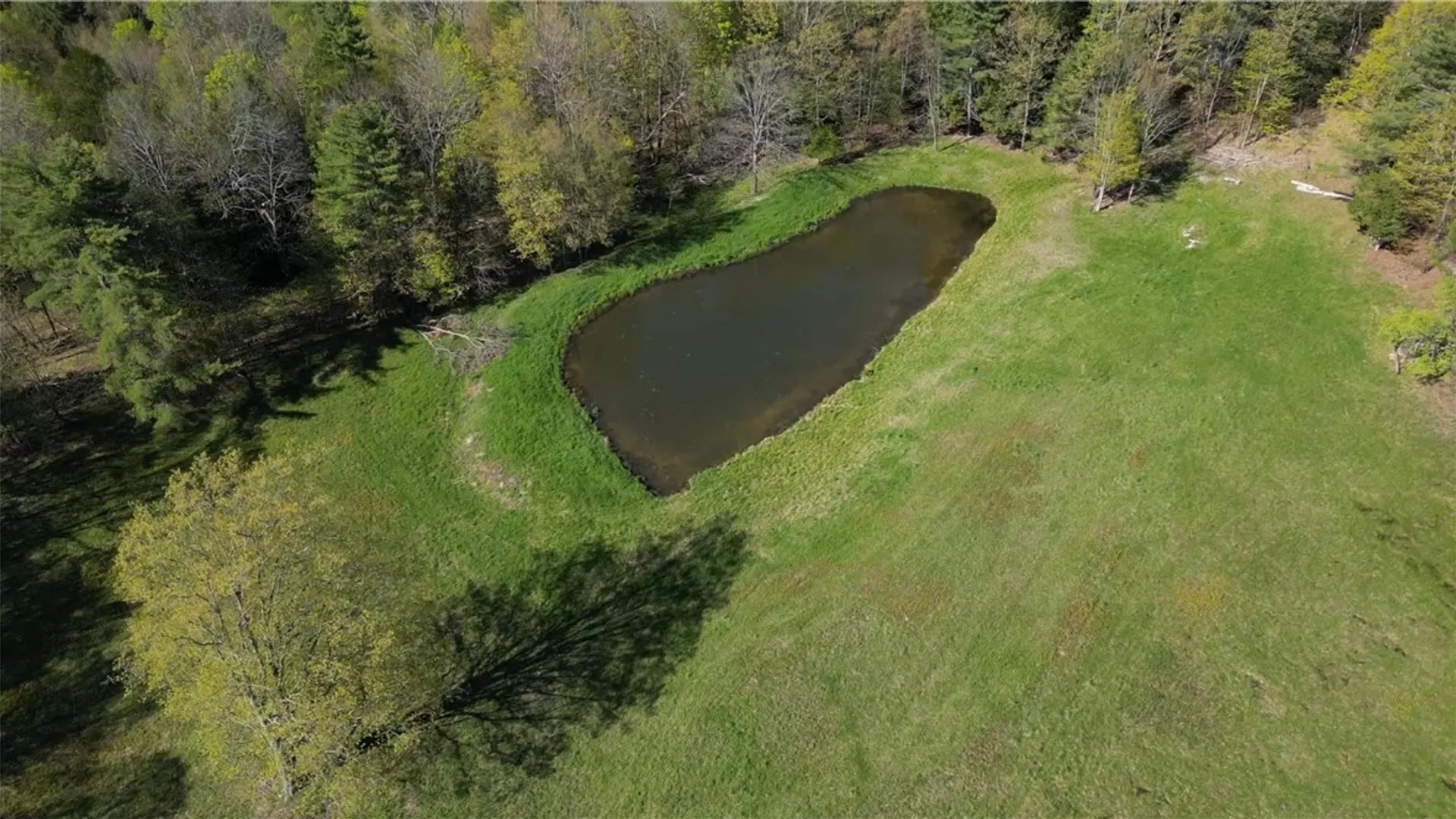 Property at 205 Sullivan Road, Laurens, NY 13810 44