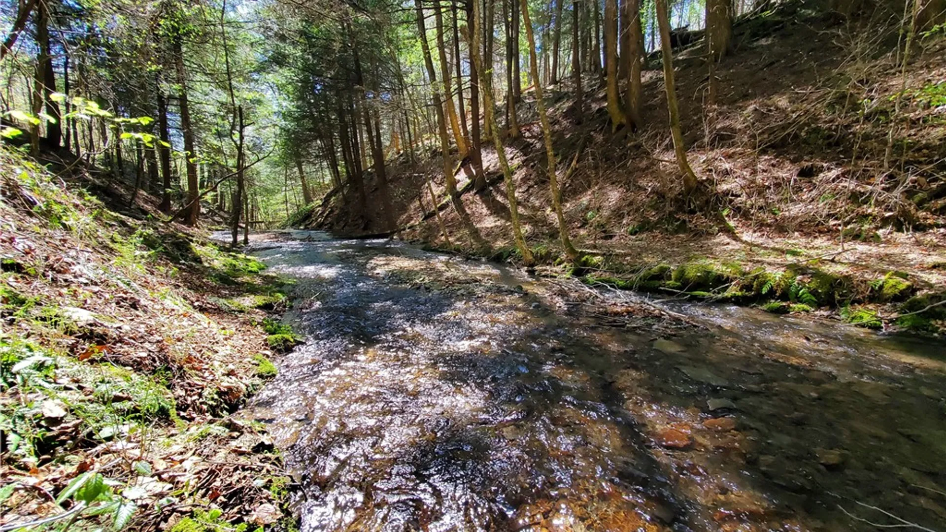 Property at 205 Sullivan Road, Laurens, NY 13810 45