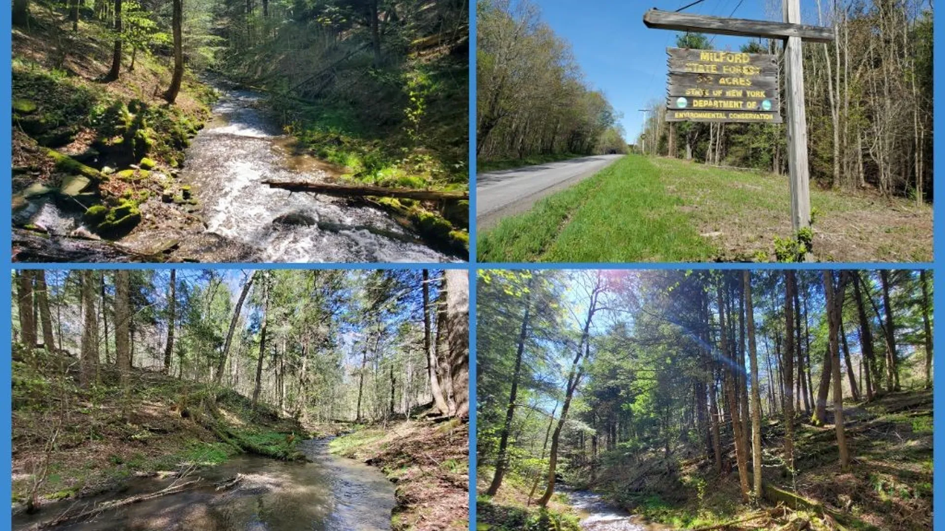 Property at 205 Sullivan Road, Laurens, NY 13810 46