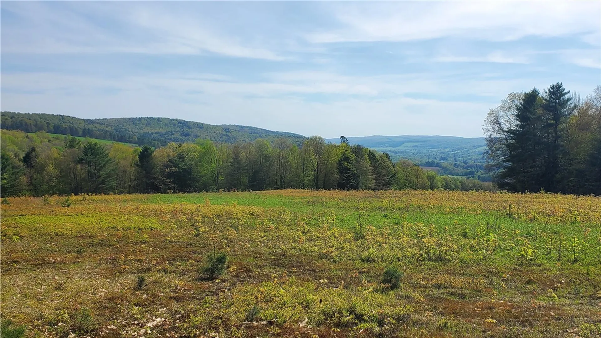 Property at 205 Sullivan Road, Laurens, NY 13810 47