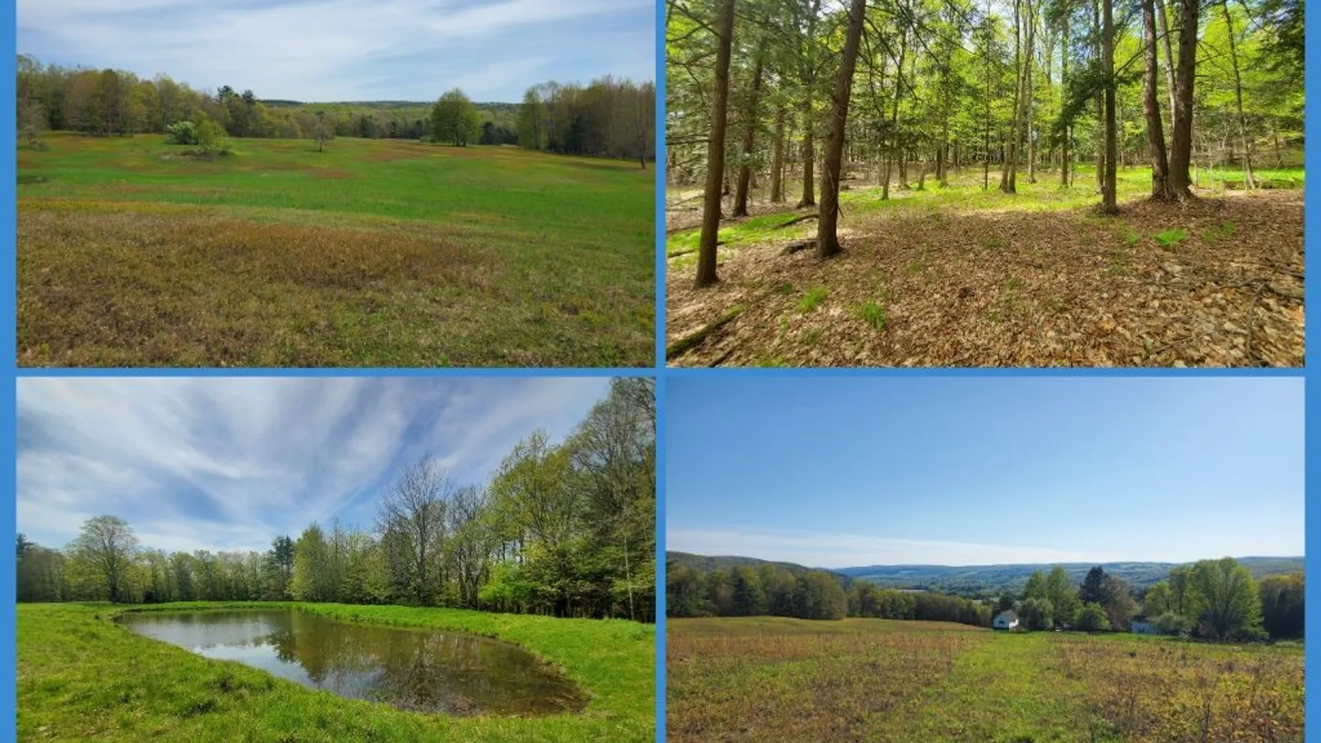 Property at 205 Sullivan Road, Laurens, NY 13810 48