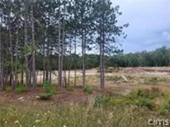 Property at 2321 NYS Route 3, Fine, NY 13639