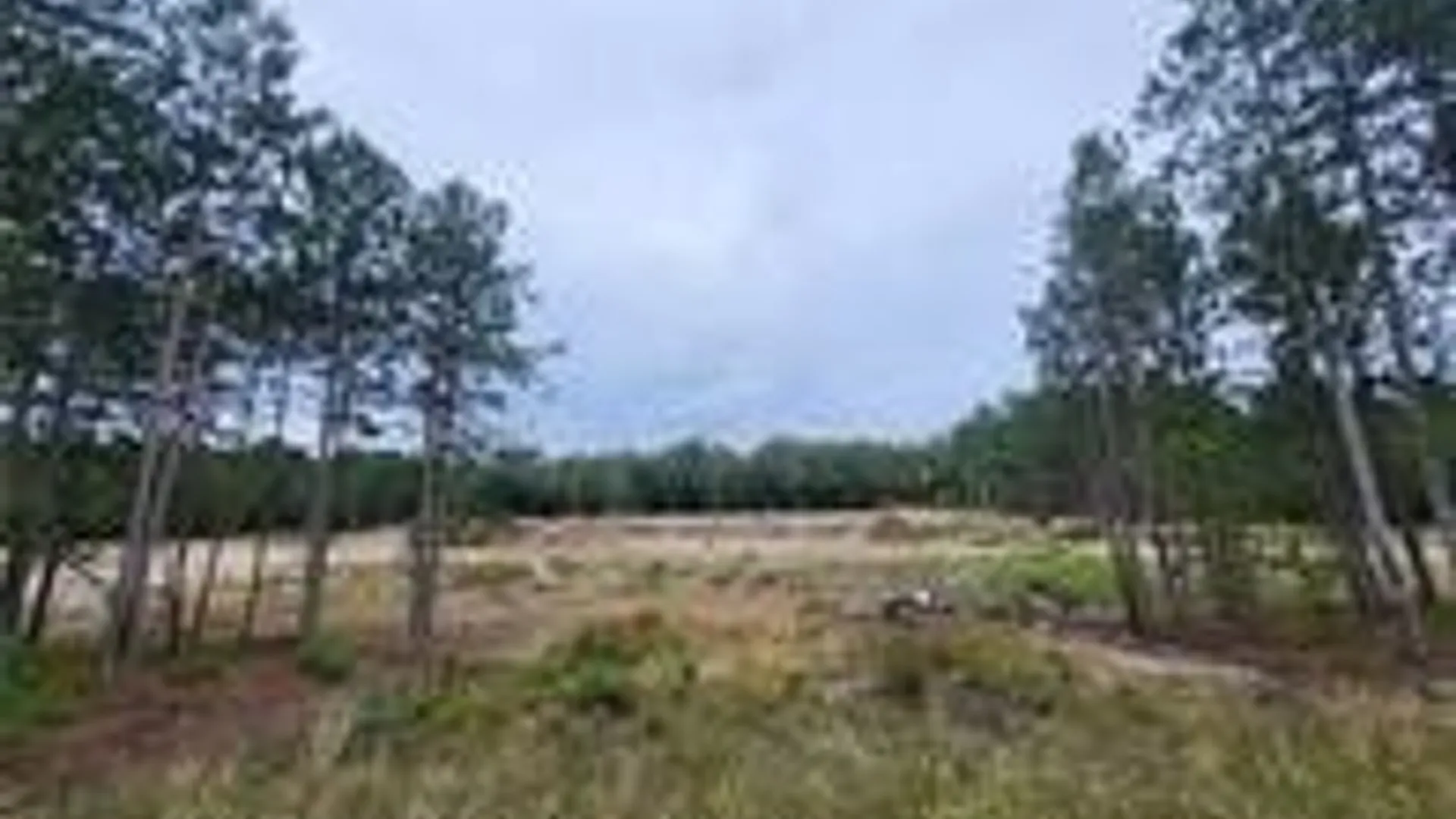 Property at 2321 NYS Route 3, Fine, NY 13639 4