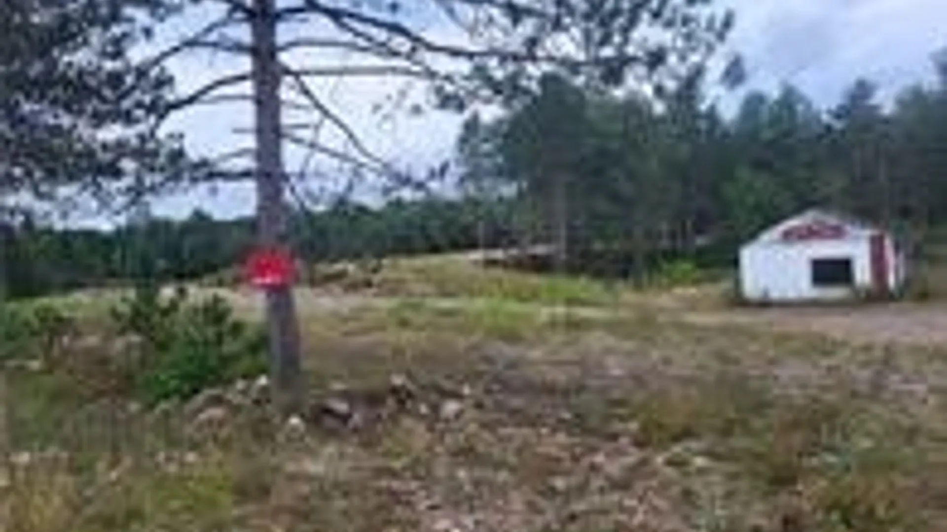 Property at 2321 NYS Route 3, Fine, NY 13639 5