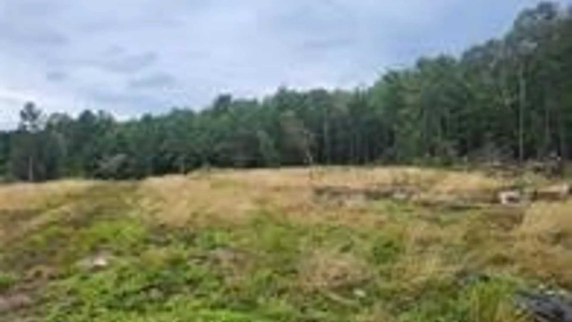 Property at 2321 NYS Route 3, Fine, NY 13639 7