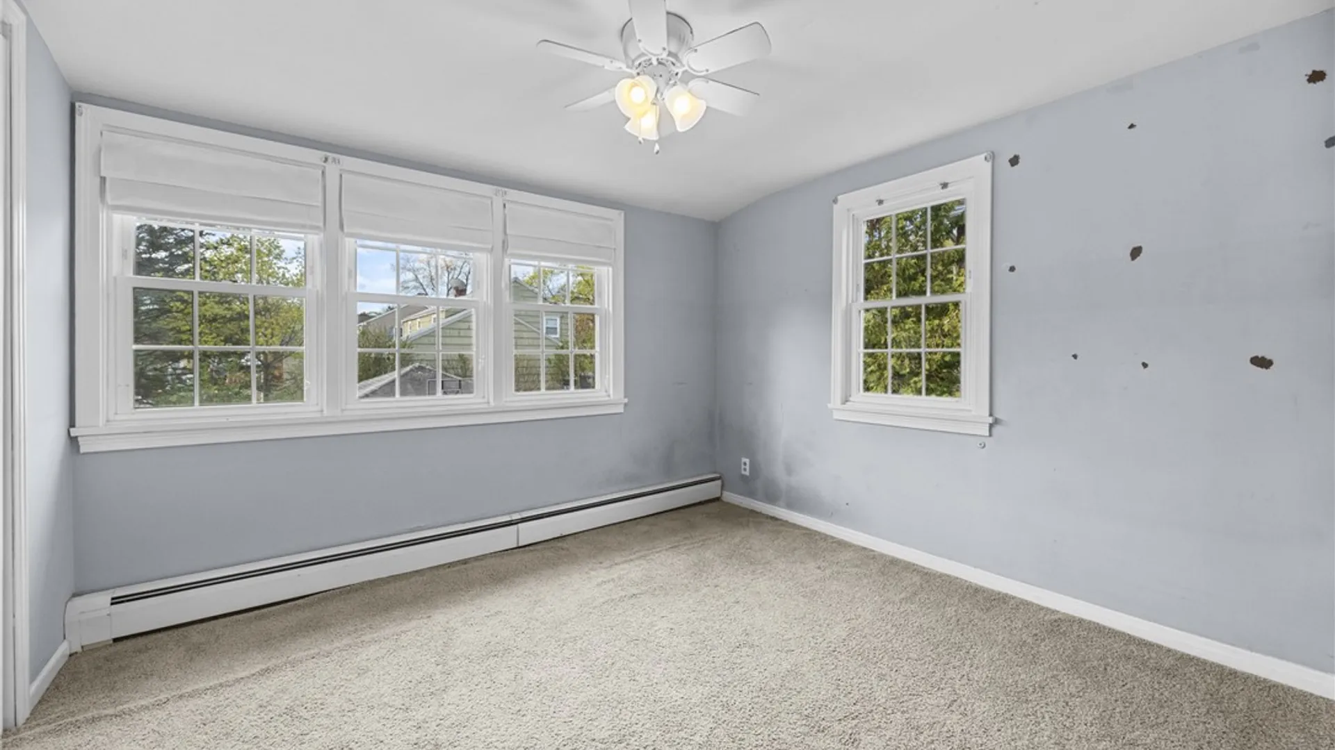 Property at 167 Lafayette Avenue, Geneva City, NY 14456 40