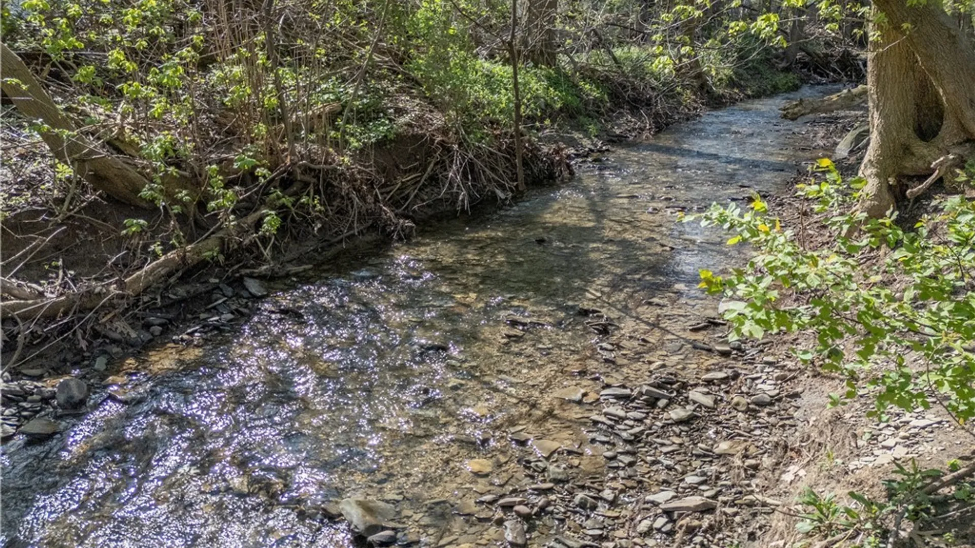 Property at 10 Fourth Street, Hanover, NY 14062 29