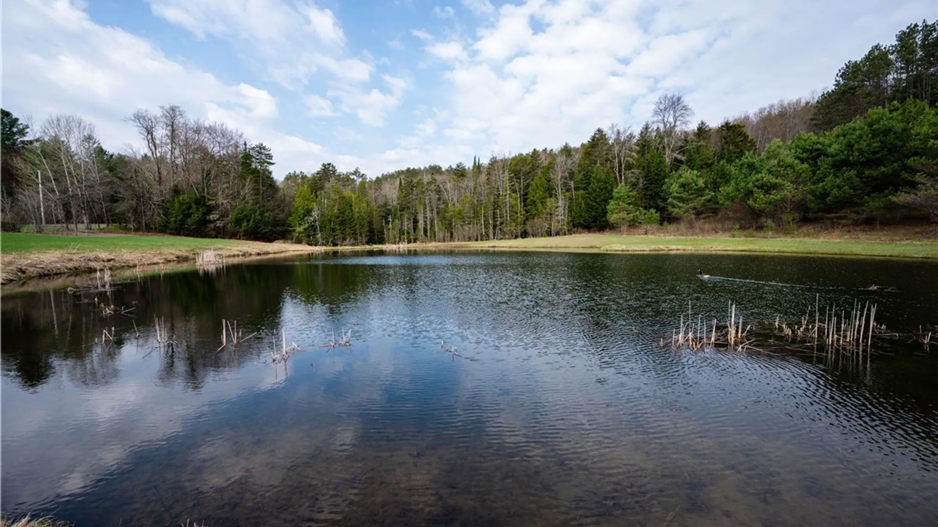 Property at 849 Hurricane Road, Norway, NY 13324 49