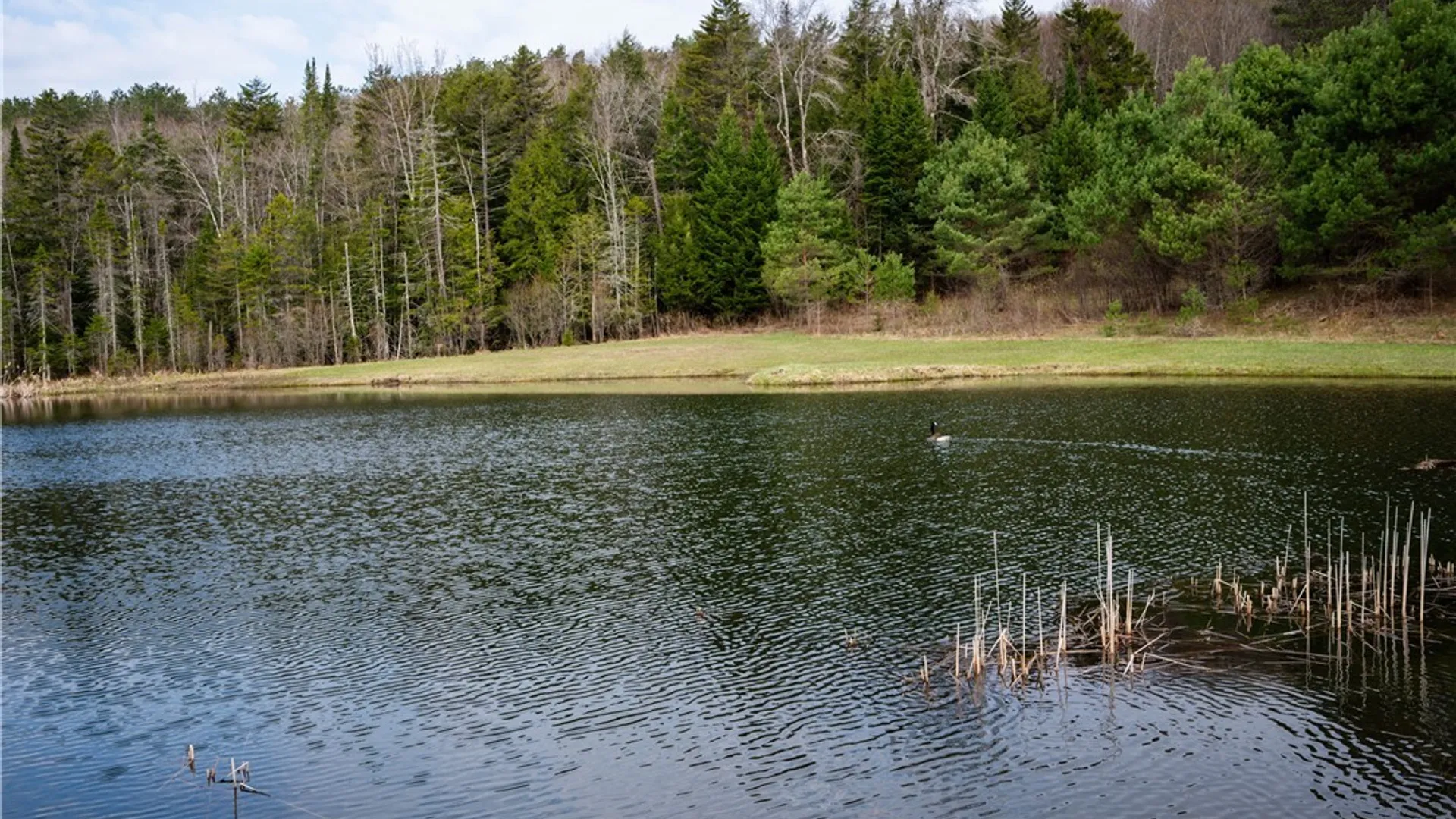 Property at 849 Hurricane Road, Norway, NY 13324 50