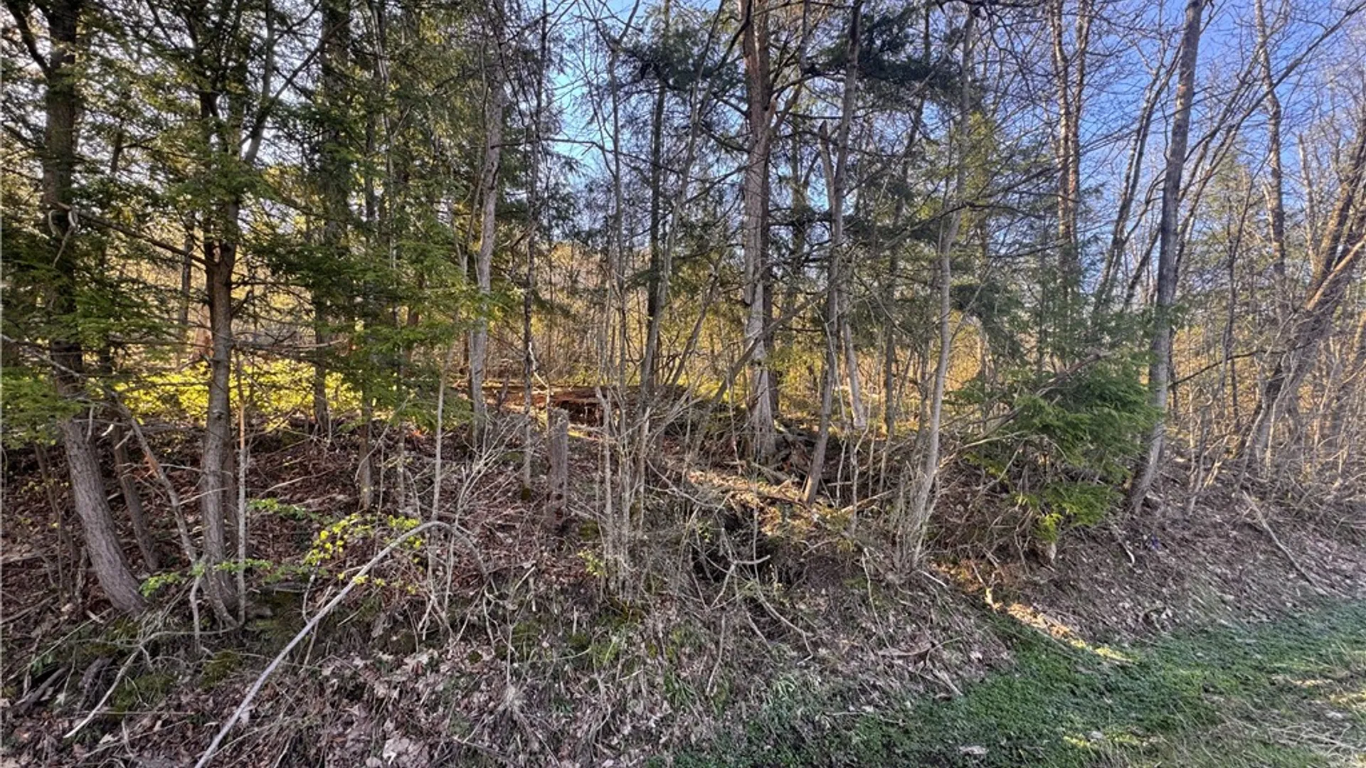 Property at 969 West Corydon Street, Bradford Town, PA 16701 14