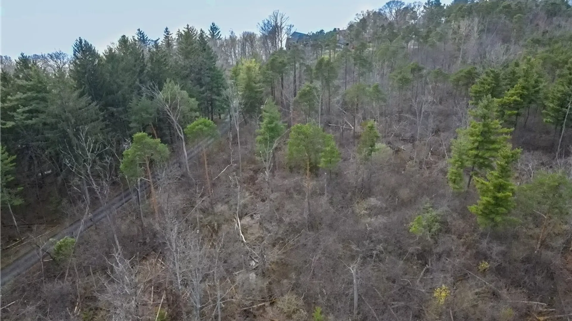 Property at 0 Widewater Lane, Spafford, NY 13152 12