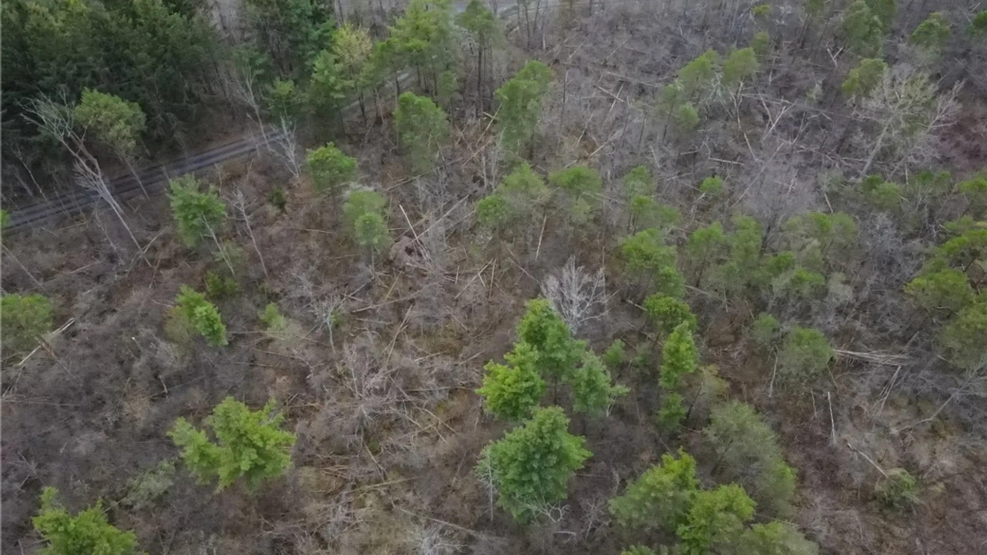 Property at 0 Widewater Lane, Spafford, NY 13152 13