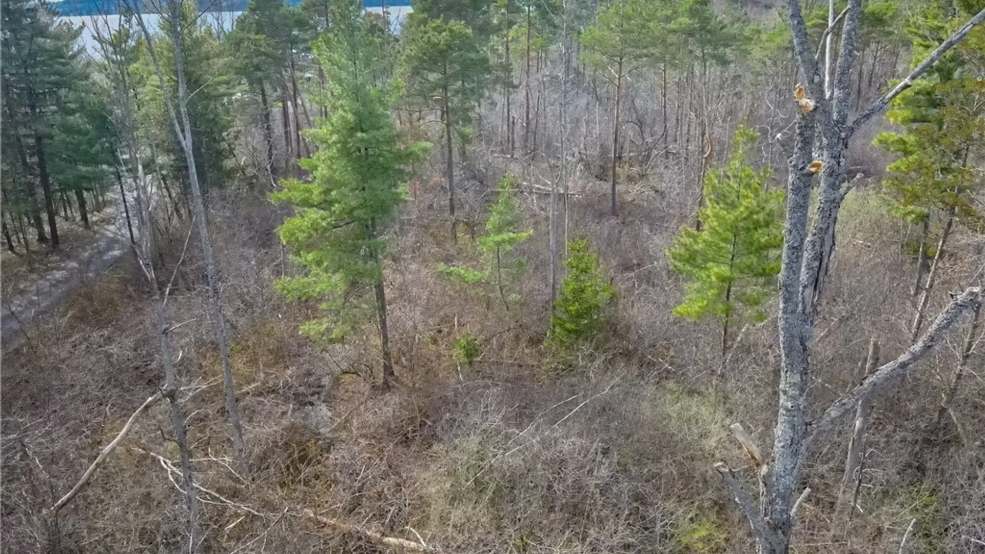 Property at 0 Widewater Lane, Spafford, NY 13152 14