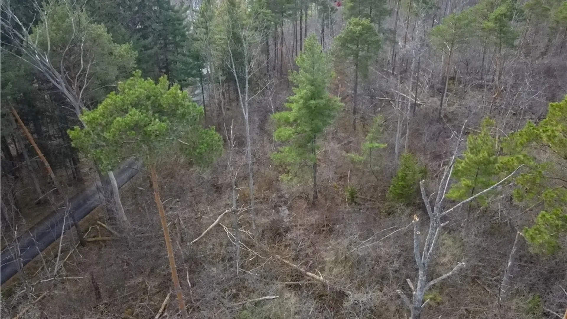 Property at 0 Widewater Lane, Spafford, NY 13152 15