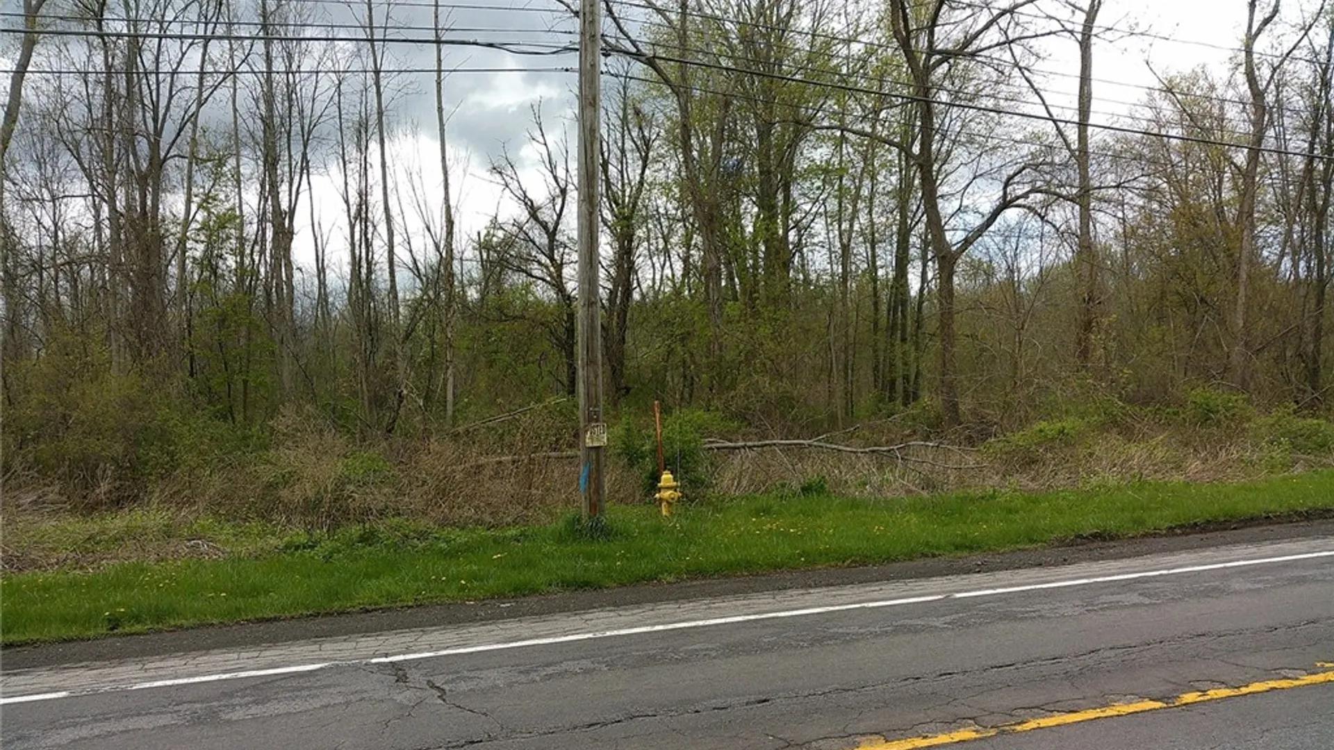 Property at 1919 Union Street, Parma, NY 14559 2