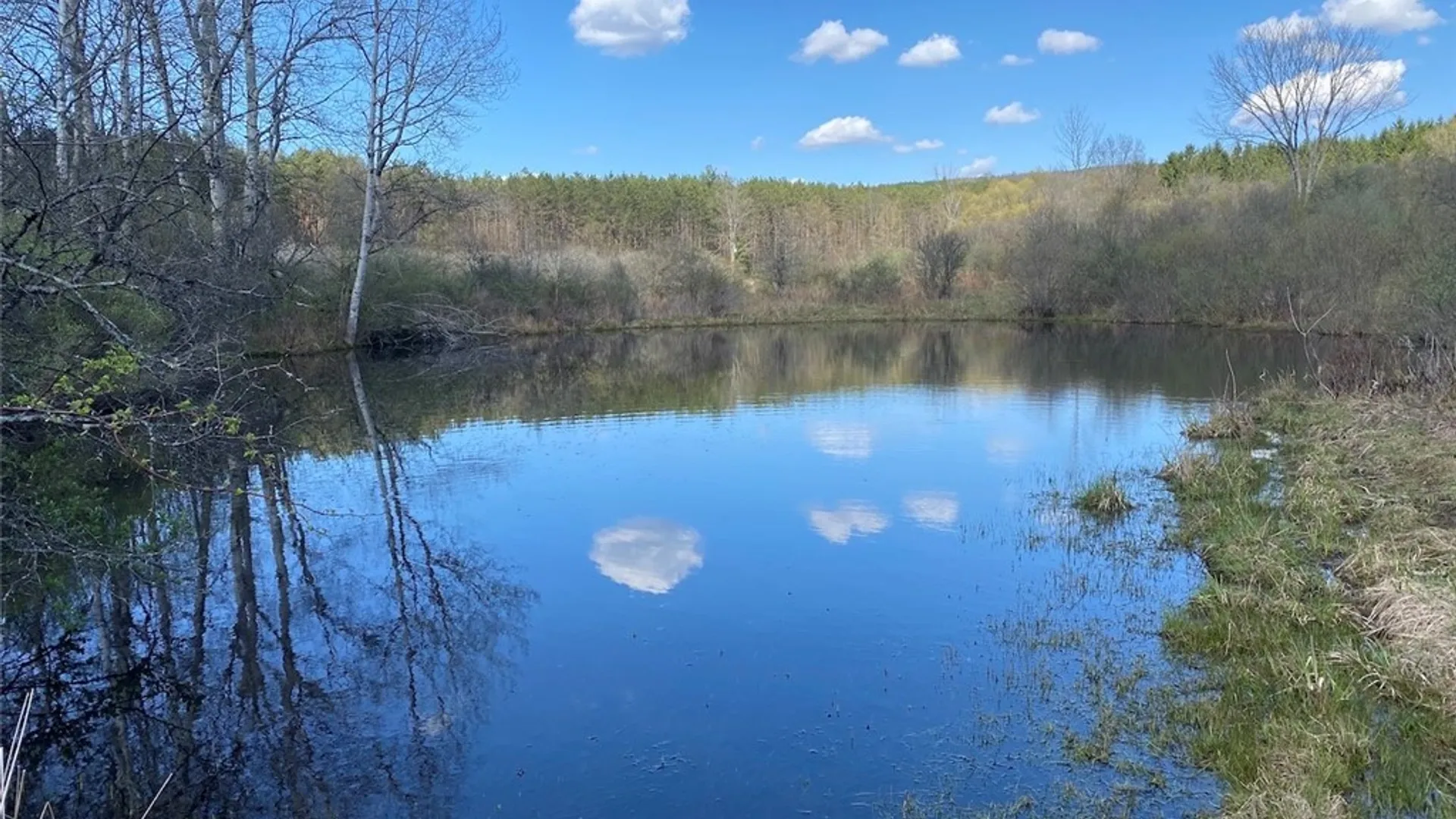 Property at Reddy Road, Amity, NY 14813 11