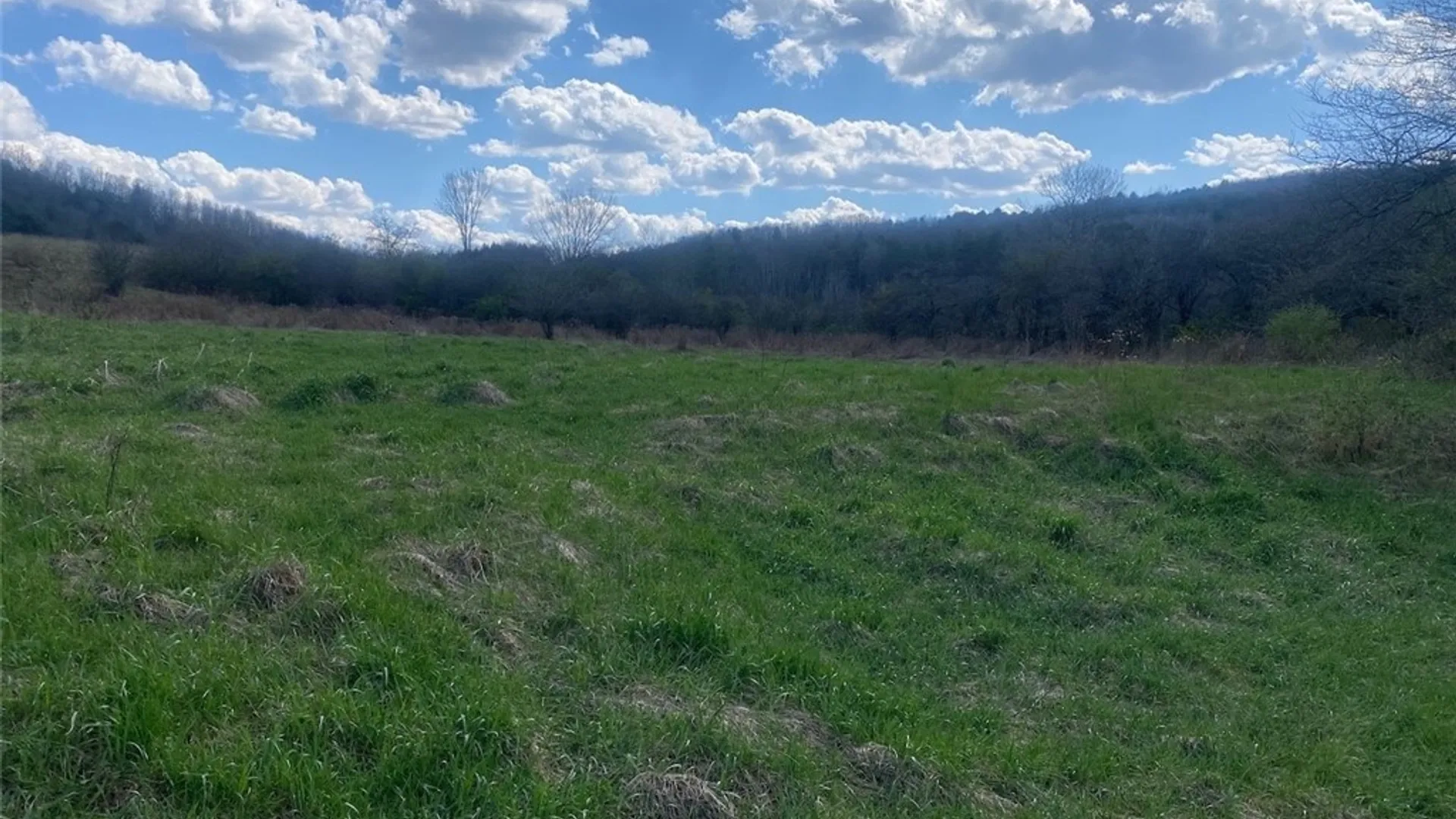 Property at Reddy Road, Amity, NY 14813 12