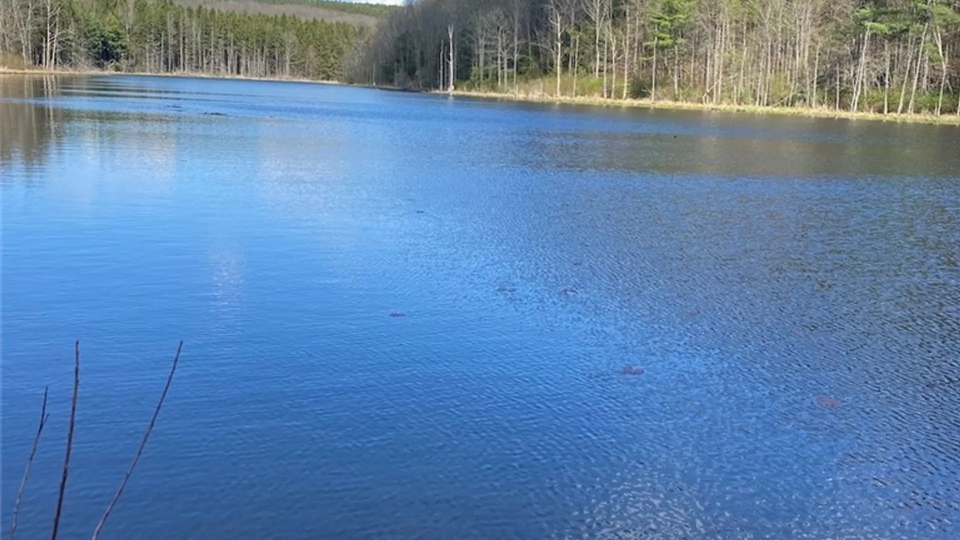 Property at Reddy Road, Amity, NY 14813 3