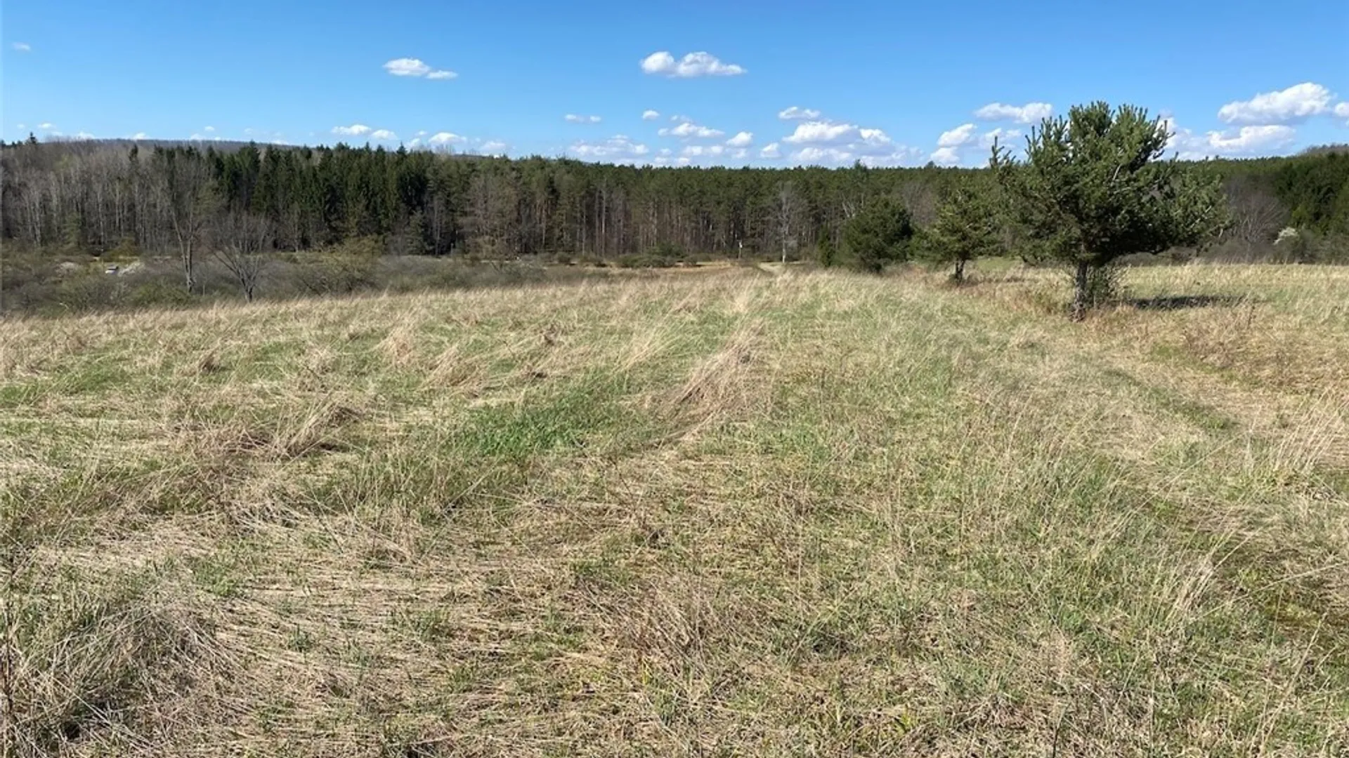 Property at Reddy Road, Amity, NY 14813 7