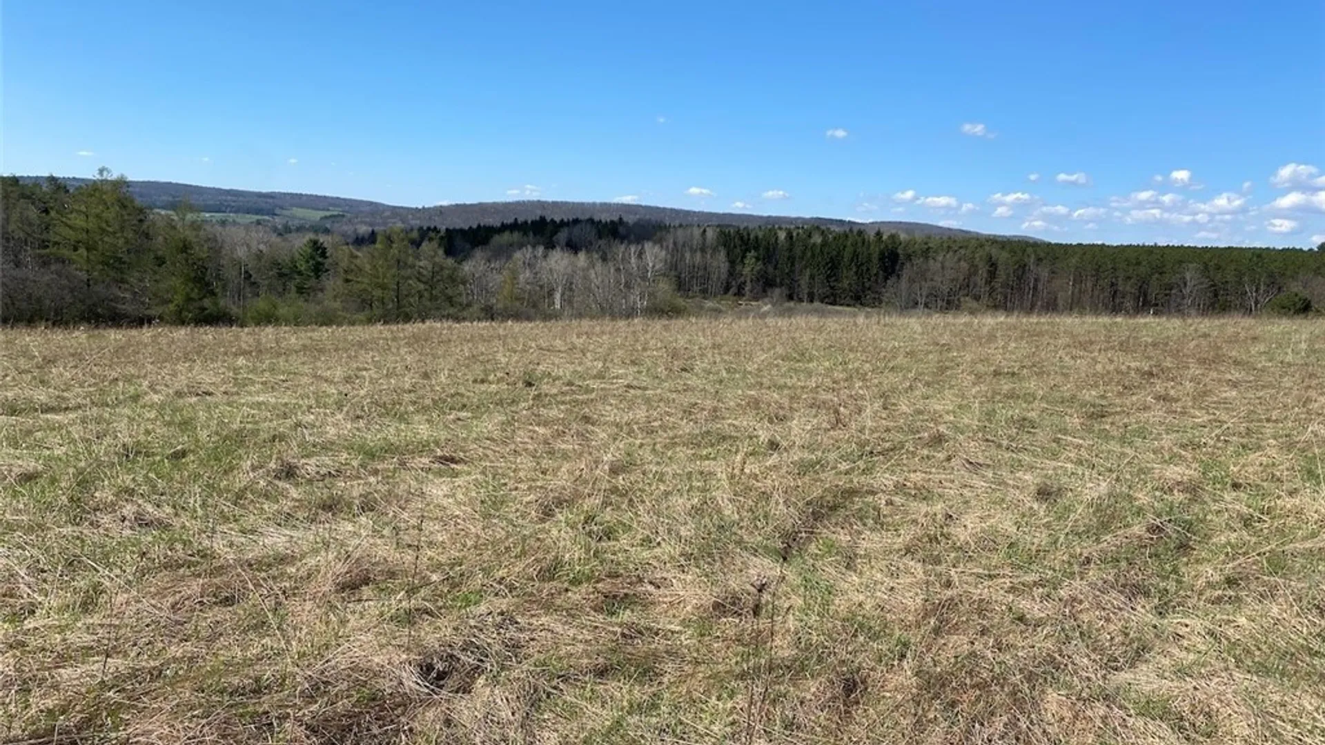 Property at Reddy Road, Amity, NY 14813 8