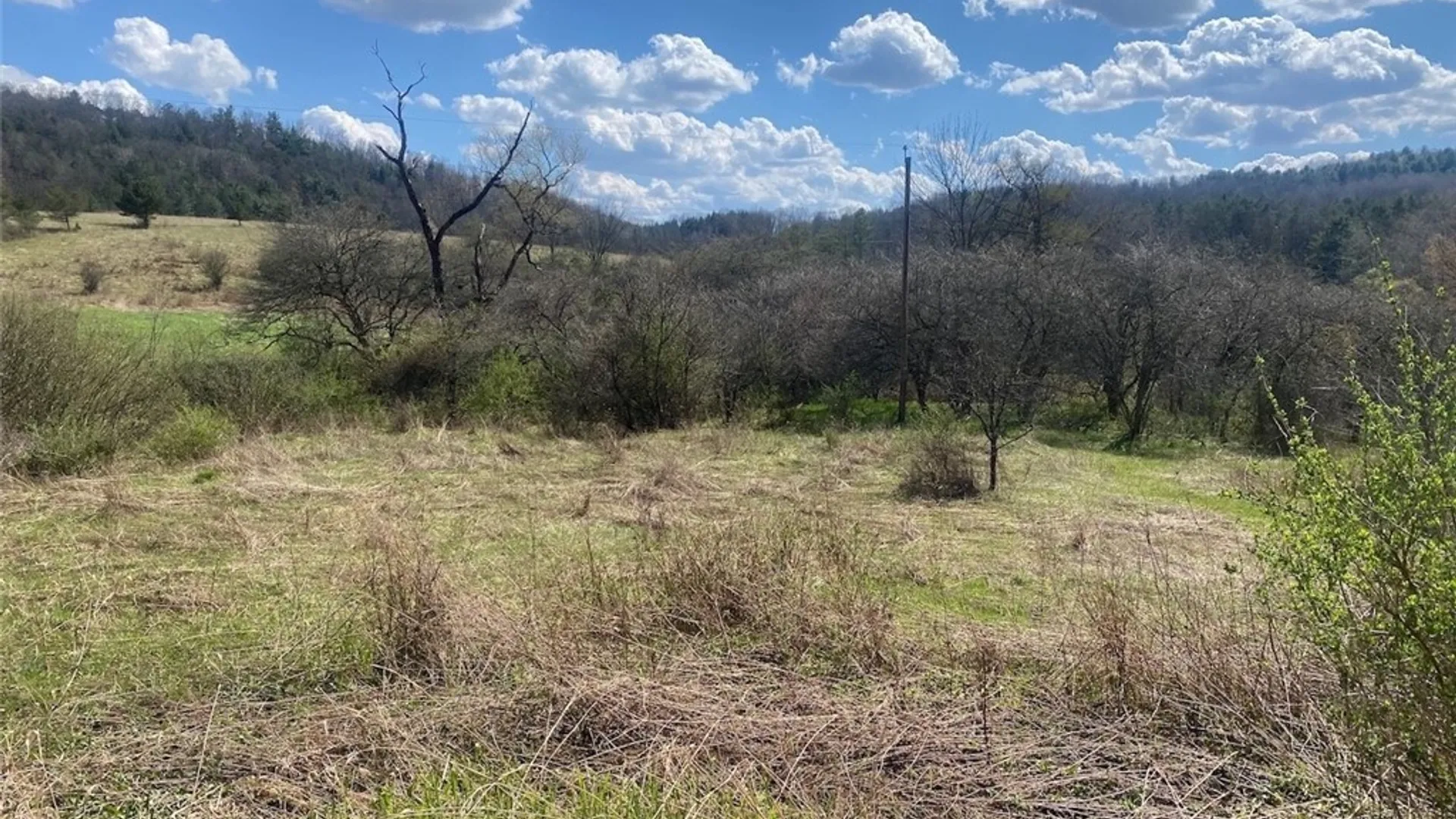 Property at Reddy Road, Amity, NY 14813 9