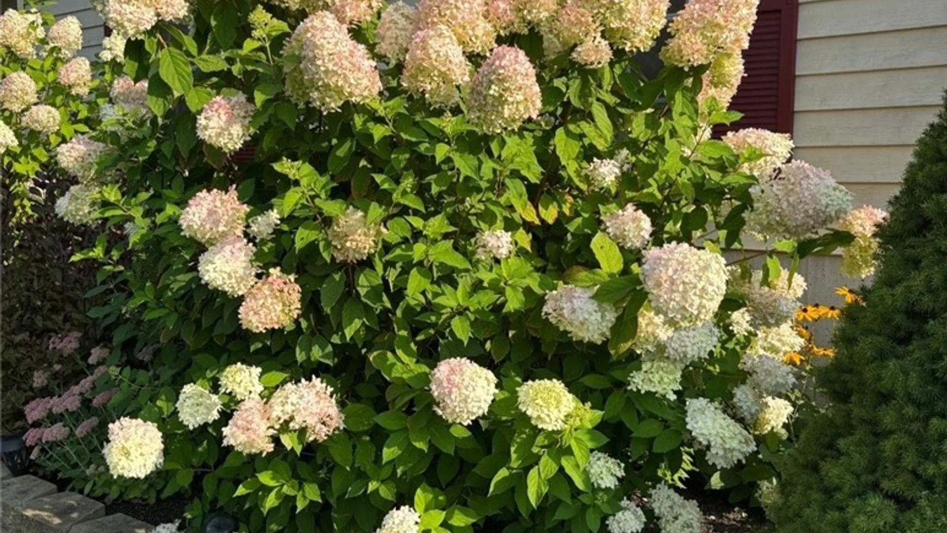 Property at 35036 Lewis Loop, Champion, NY 13619 39