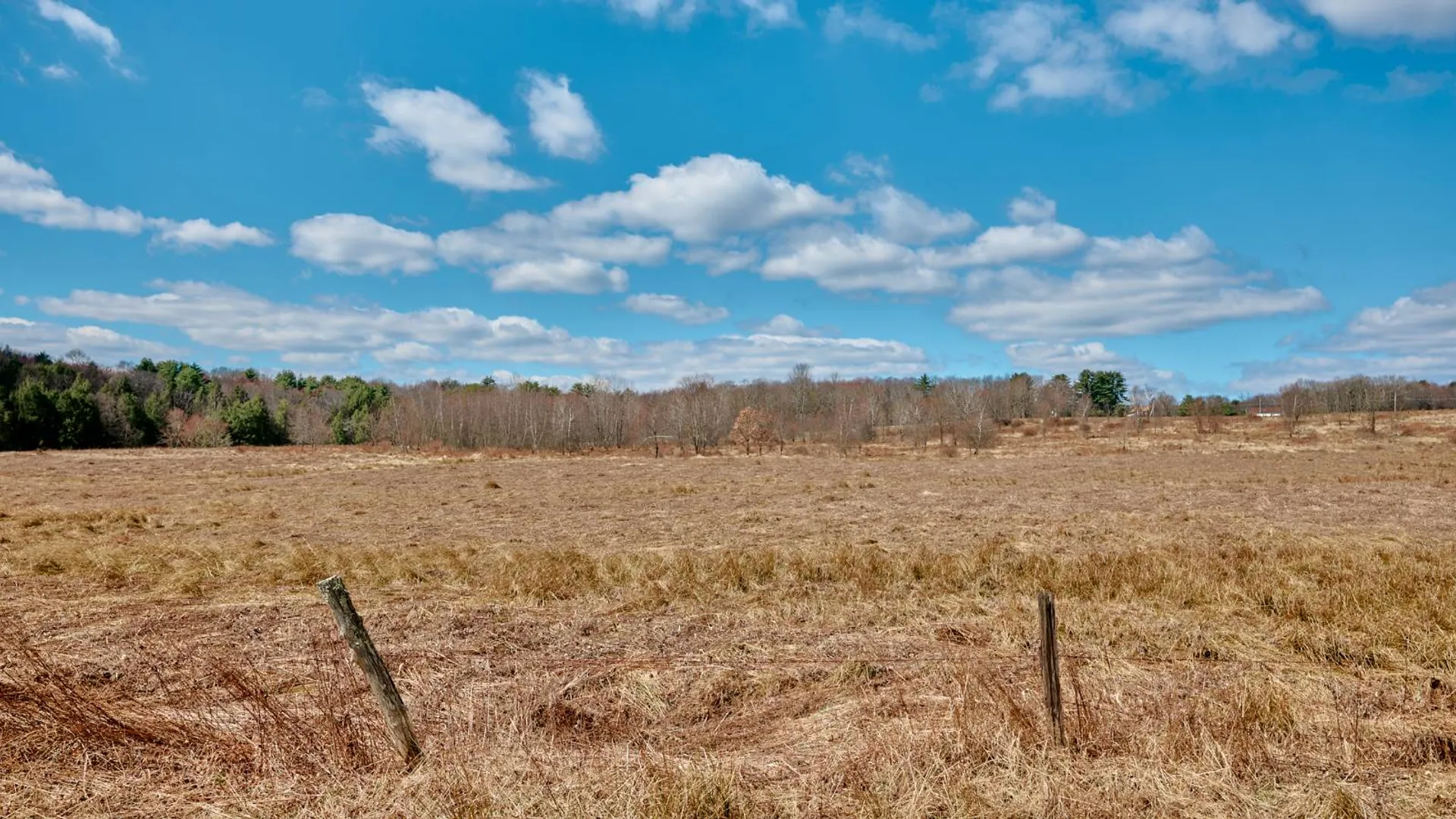 Property at Lot 17.9 Shortcut Rd, Cochecton, NY 12726 4