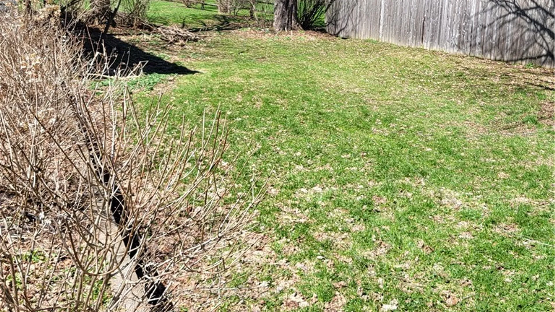 Property at 56 Main Street, Bainbridge, NY 13733 28