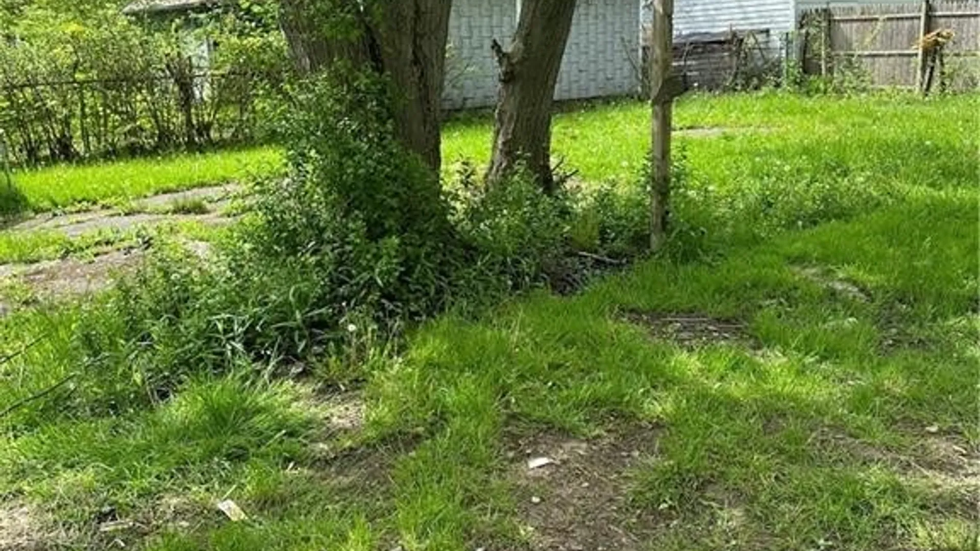 Property at 54 Decker Street, Buffalo, NY 14215 4