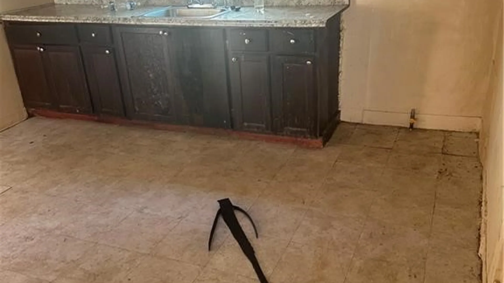 Property at 54 Decker Street, Buffalo, NY 14215 9