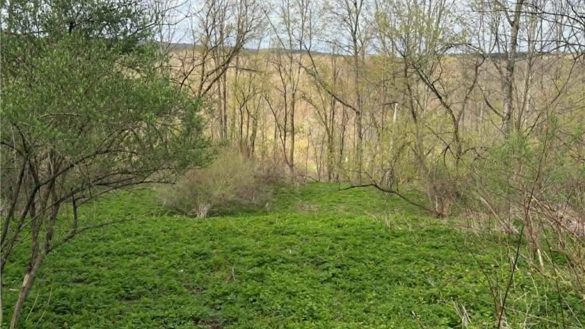 Property at 2860 US Highway 11, Cortlandville, NY 13045 10