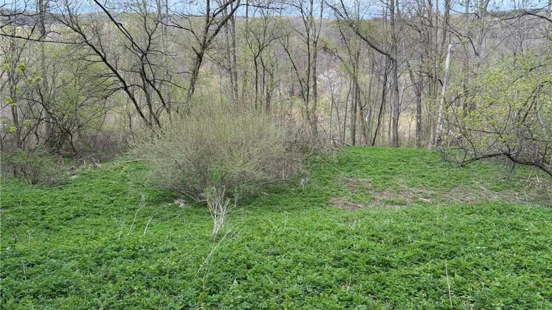 Property at 2860 US Highway 11, Cortlandville, NY 13045 11