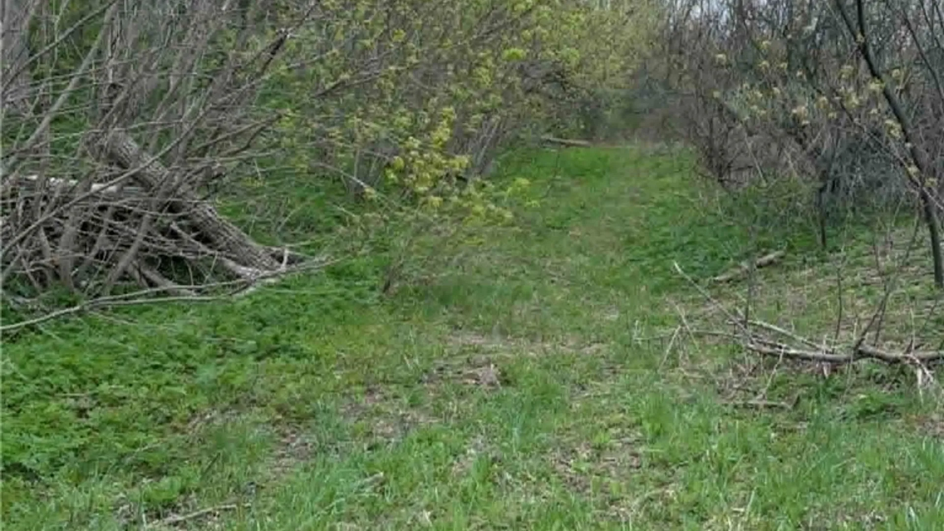 Property at 2860 US Highway 11, Cortlandville, NY 13045 3